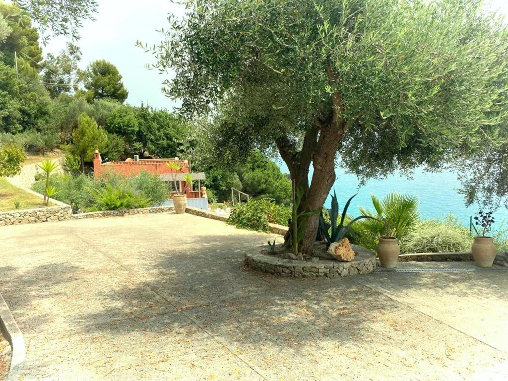 La Bouganvilla Charme & Relax Vista Mare Finale Ligure Zewnętrze zdjęcie